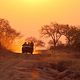 Game Drive