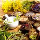 Herbal Remedy Starter Kit