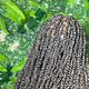 small passion twists