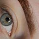 BASIC BROWS TREATMENT