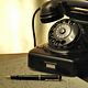 Reisadvies via telefoon