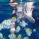 Trip to Bob Marley Reef