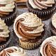 Cupcake Box of 6