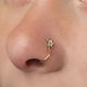 ნესტო / Nostril