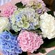 Hydrangeas bouquets