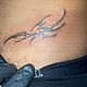Tattoo Retouch (DM for price)