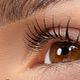 Lash/brow lift