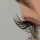 Lash lift & Tint