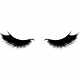 Premium Lashes