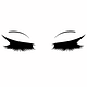 Signiture Lashes