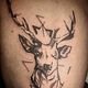 Större tatuering