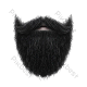 Baard