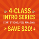 4-PRIVATE Class Intro Package