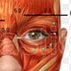 Advanced Injectables using Anti-Wrinkle - prices on website
FREE CONSULTATION