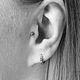 Tragus