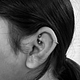 Rook