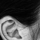Conch
