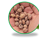 100kg Bag of Tiger Nuts