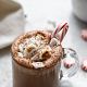 Peppermint Hot Chocolate