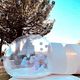 BUBBLE HOUSE