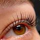 LASHLIFT (incl tint)