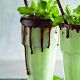 Menthe 300 ml