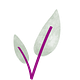 AbonNEI