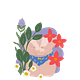 Keizersnede Package