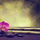 Terapia holistica emocional
