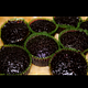 Mini Fruit Cake