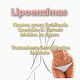 Lipoenzimas