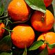 Mandarine glow
