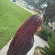 Soft locs 