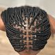 Thousand Braids