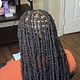 Butterfly locs