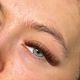 Brown Hybrids Full Set