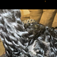 Men / Women - retwist , plus any style of choice