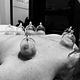 Hijama cupping inplannen na betaling