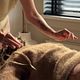 Spinal Energetics