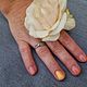 Build Gel and Colour