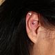 conch