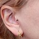 tragus