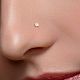 Nose
