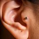 Tragus
