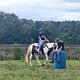 Intermediate Horse Riding