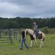 Beginner Horse Riding