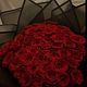 Classic Red Roses