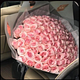 Aqua Pink Roses