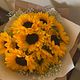 Sunflower Delight