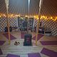 Vinyasa Flow @Yurt donderdag